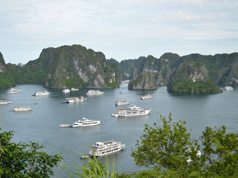 Erina Cruise — baie d'Ha Long